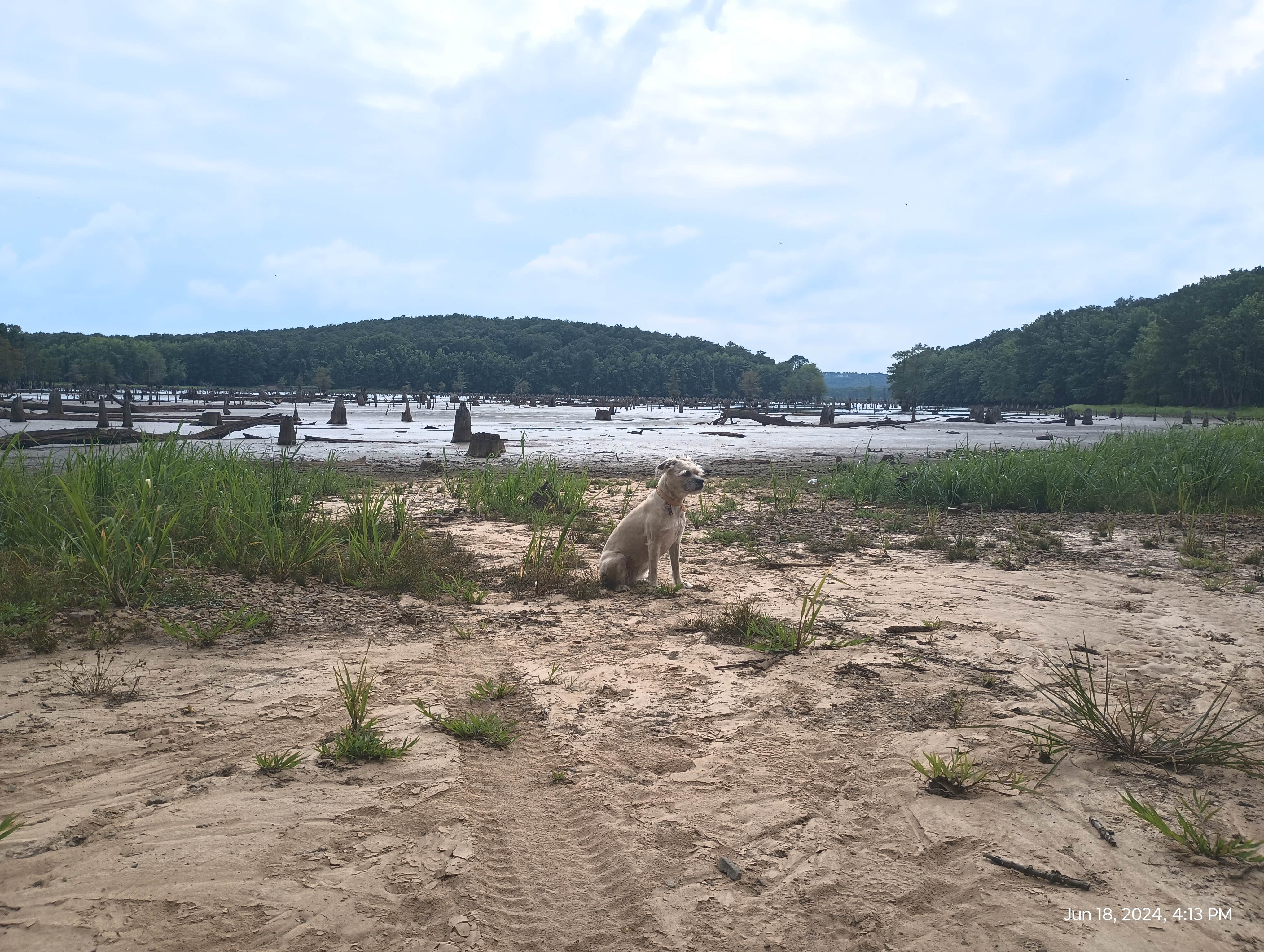 Camper-submitted photo at Camp Robinson Dispersed Site near Conway, AR