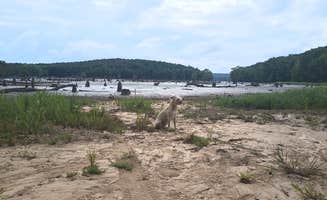 ken H.'s photo of camping with pets at Camp Robinson Dispersed Site near Cabot, AR