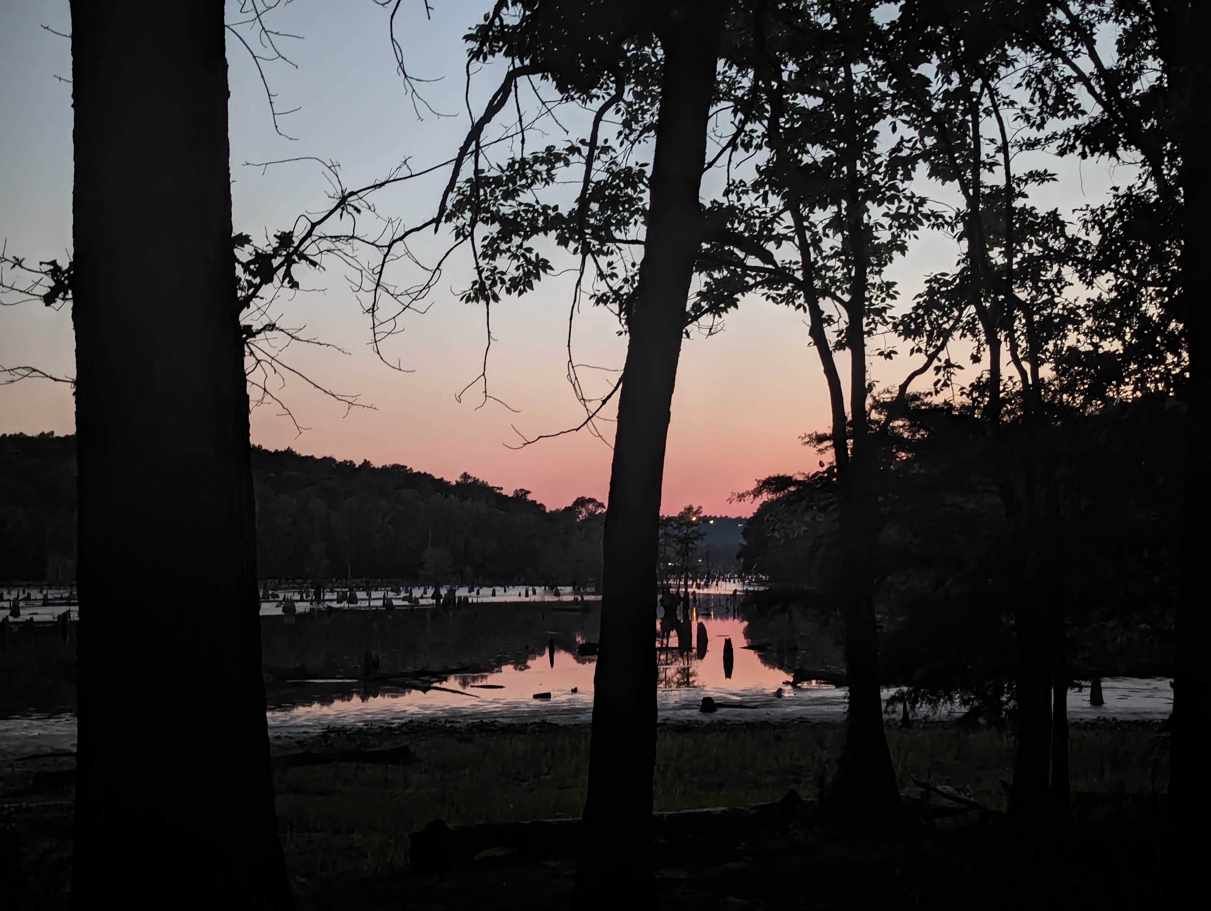 Camper-submitted photo at Camp Robinson Dispersed Site near Conway, AR