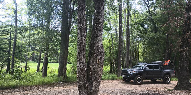 Camper submitted image from Camp Robinson Dispersed Site