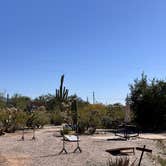 Review photo of Camp Saguaro by Laura V., February 5, 2026