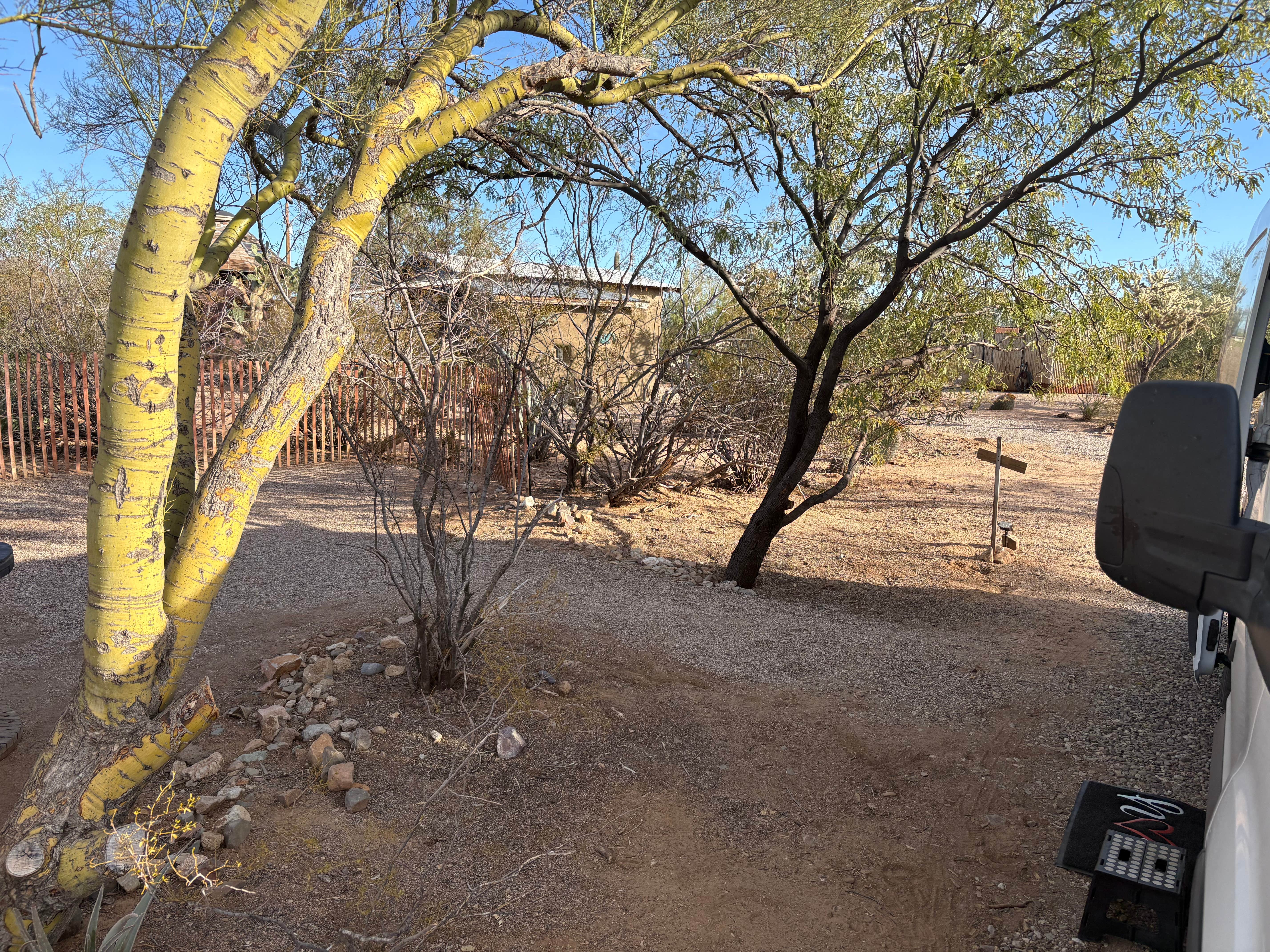 Camper submitted image from Camp Saguaro - 3