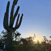 Review photo of Camp Saguaro by Laura V., February 5, 2026