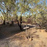 Review photo of Camp Saguaro by Cathy E., November 25, 2024