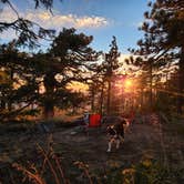 Review photo of Camp Saw by iris , July 12, 2026