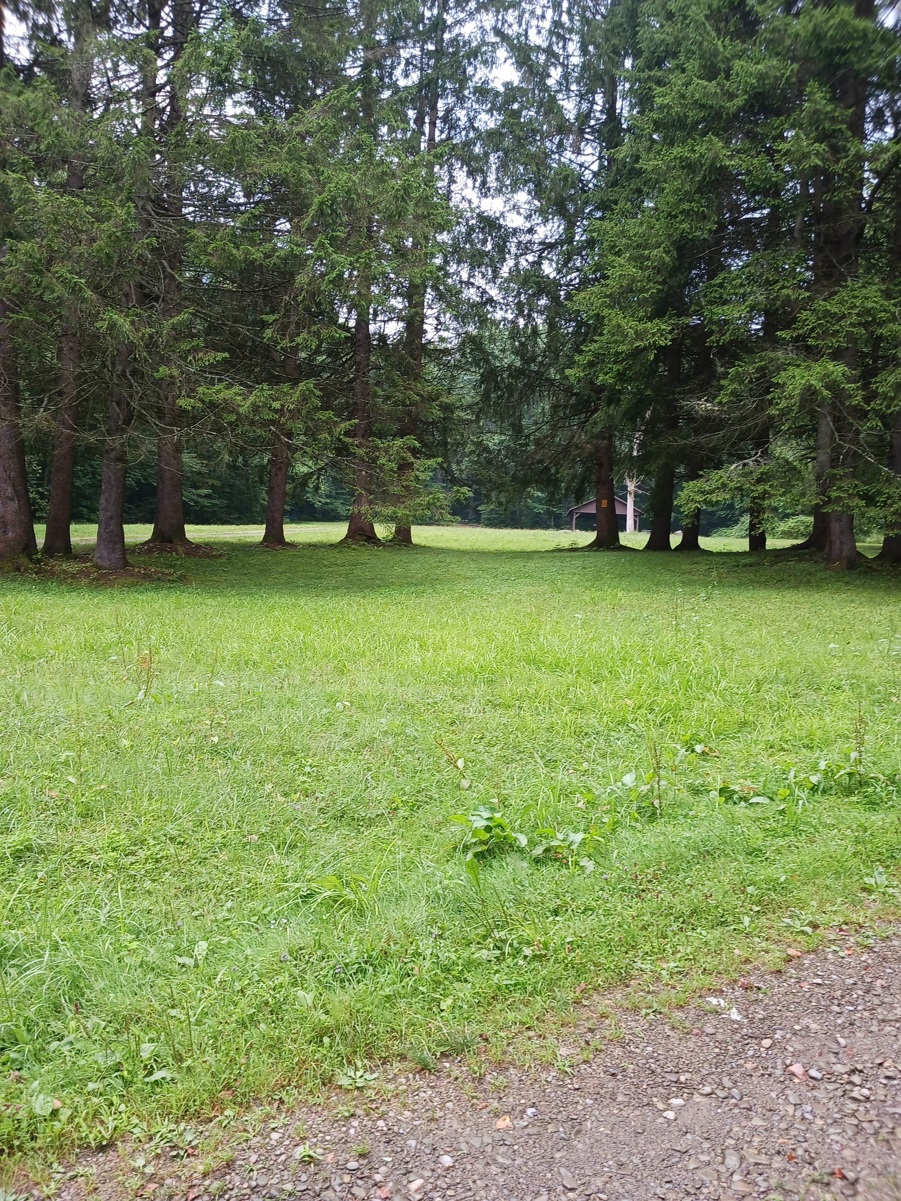 Camper-submitted photo at Camp Seneca near Nunda, NY