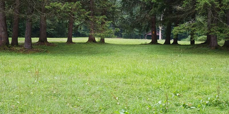 Camper submitted image from Camp Seneca