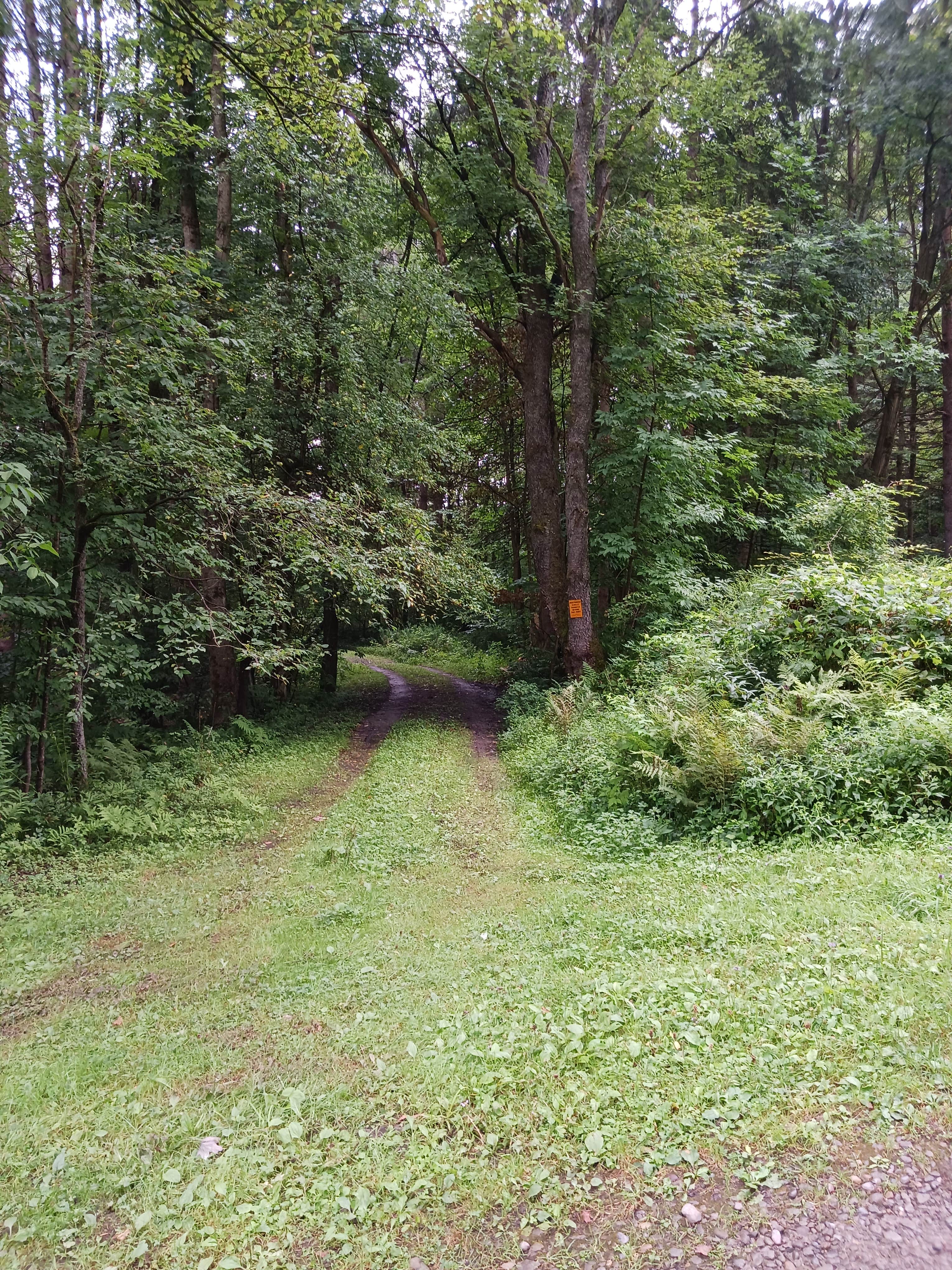 Camper-submitted photo at Camp Seneca near Nunda, NY