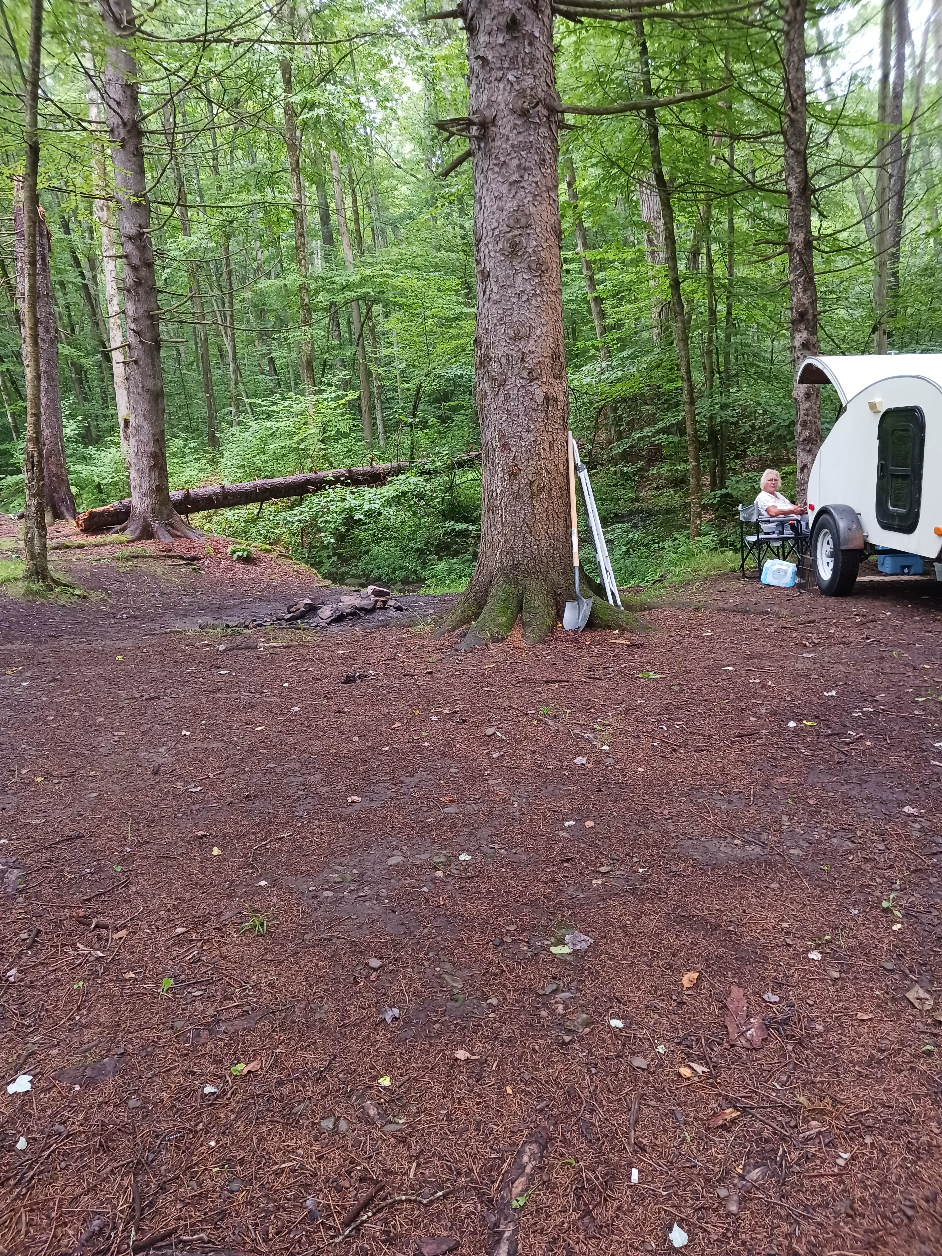 Kevin C.'s photo of a dispersed camping area at Camp Seneca near Nunda, NY