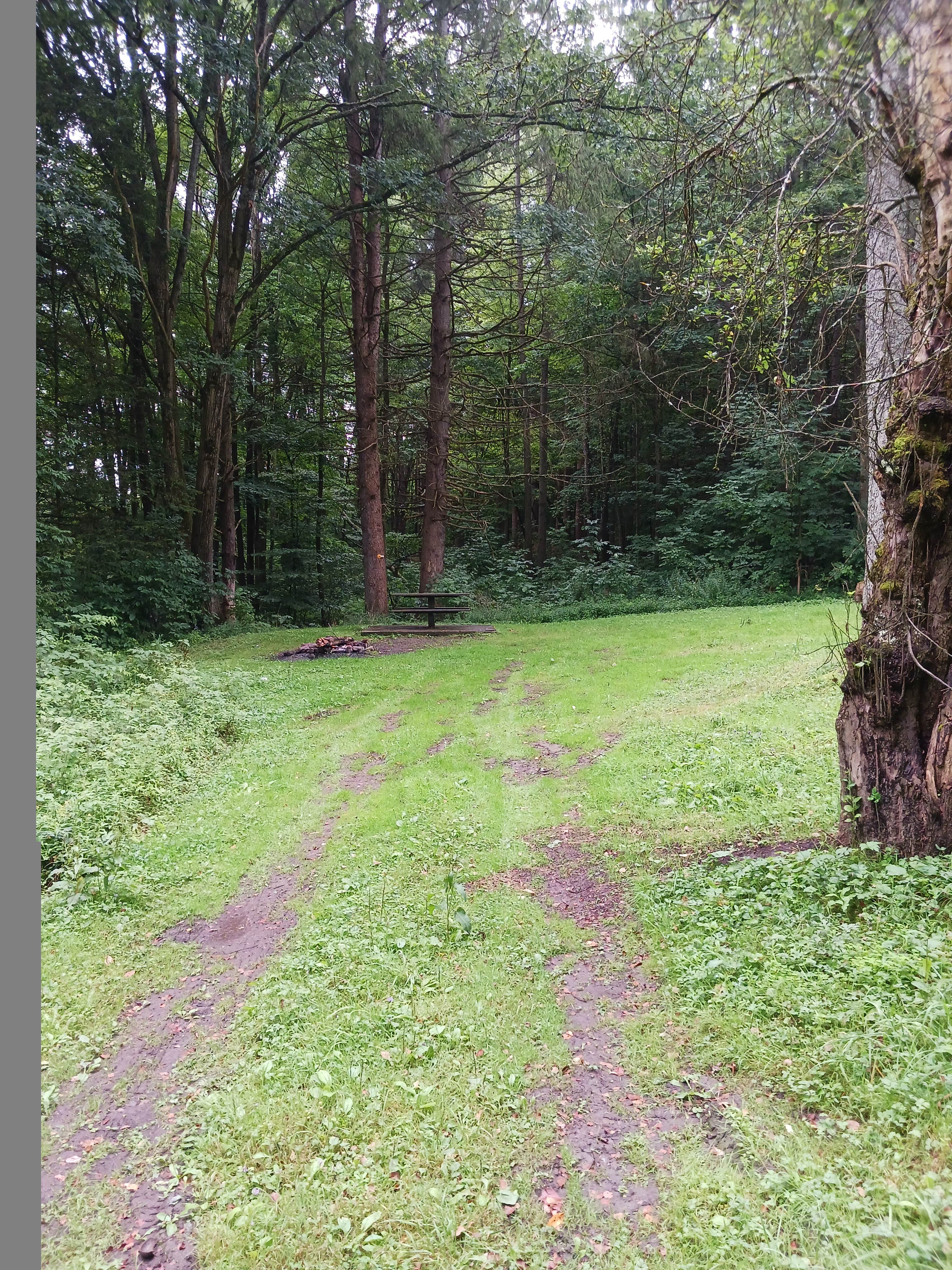 Camper-submitted photo at Camp Seneca near Nunda, NY