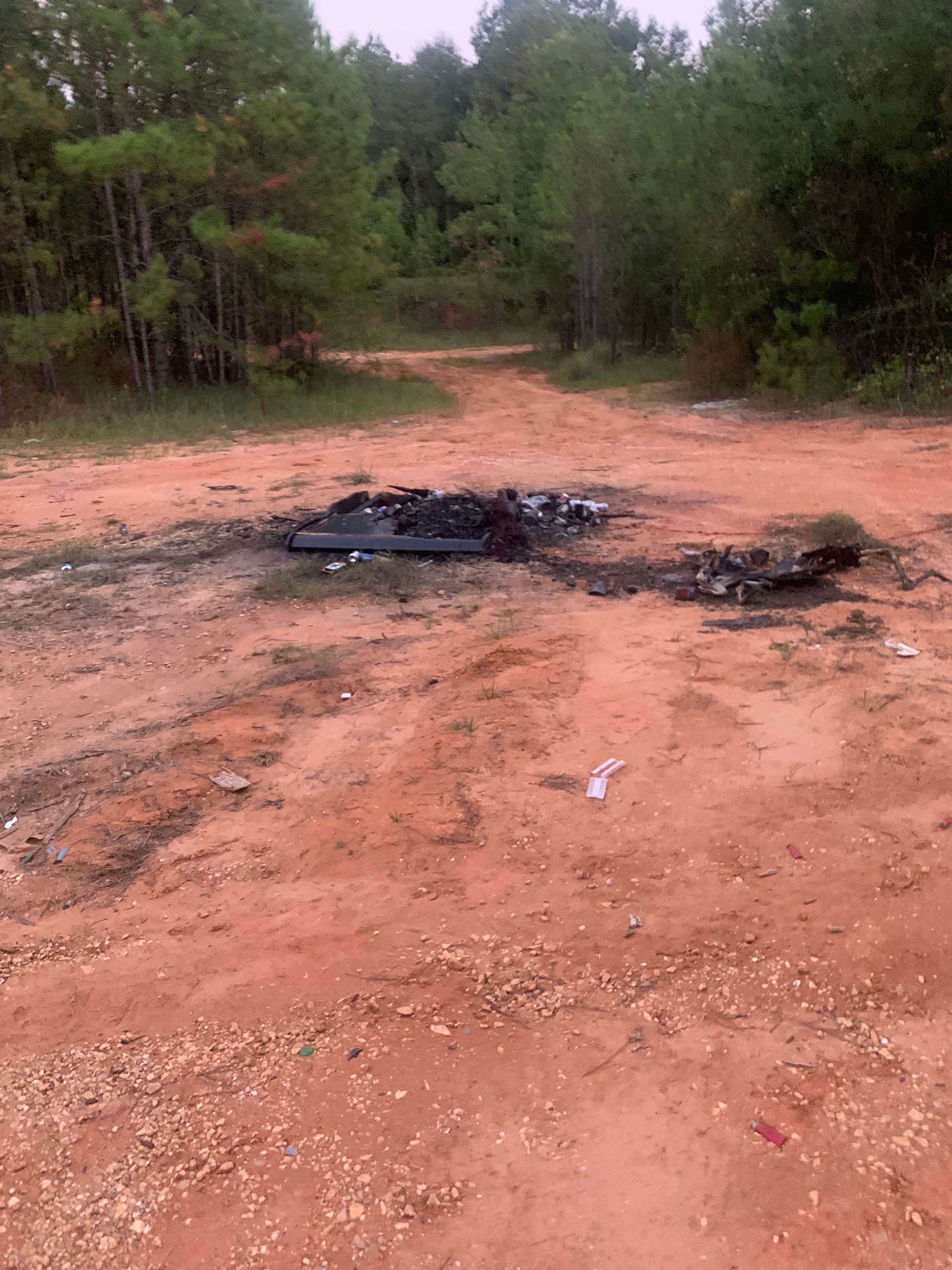 Camper-submitted photo at Camp Shelby Dispersed Camping near De Soto National Forest
