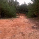 Review photo of Camp Shelby Dispersed Camping by taryn , October 1, 2023