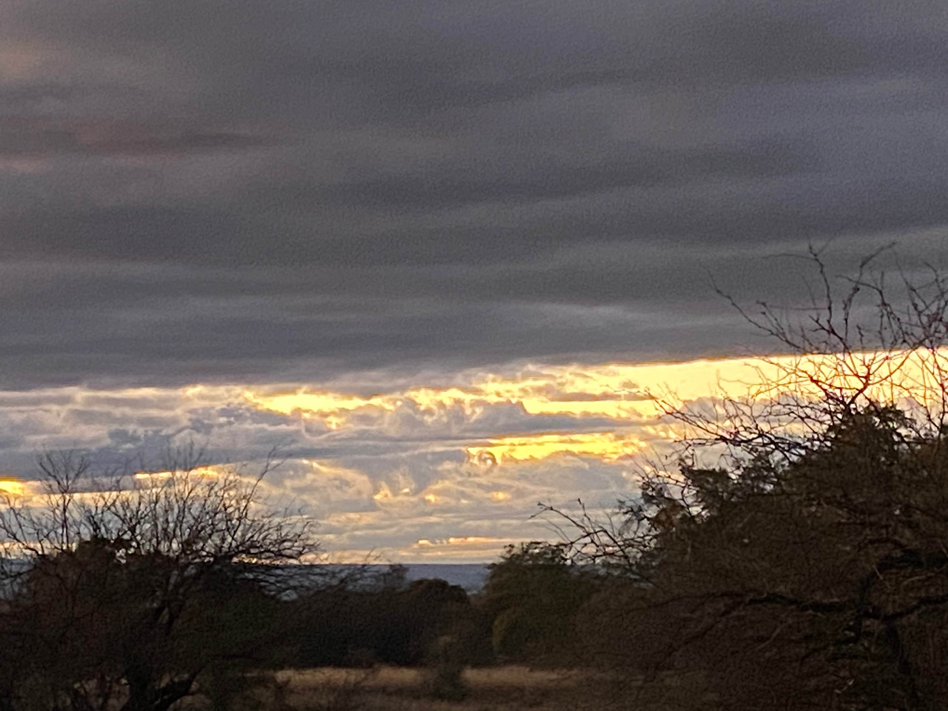 Camper-submitted photo at Camp Site 001 Dispersed Site near Sierra Vista, AZ