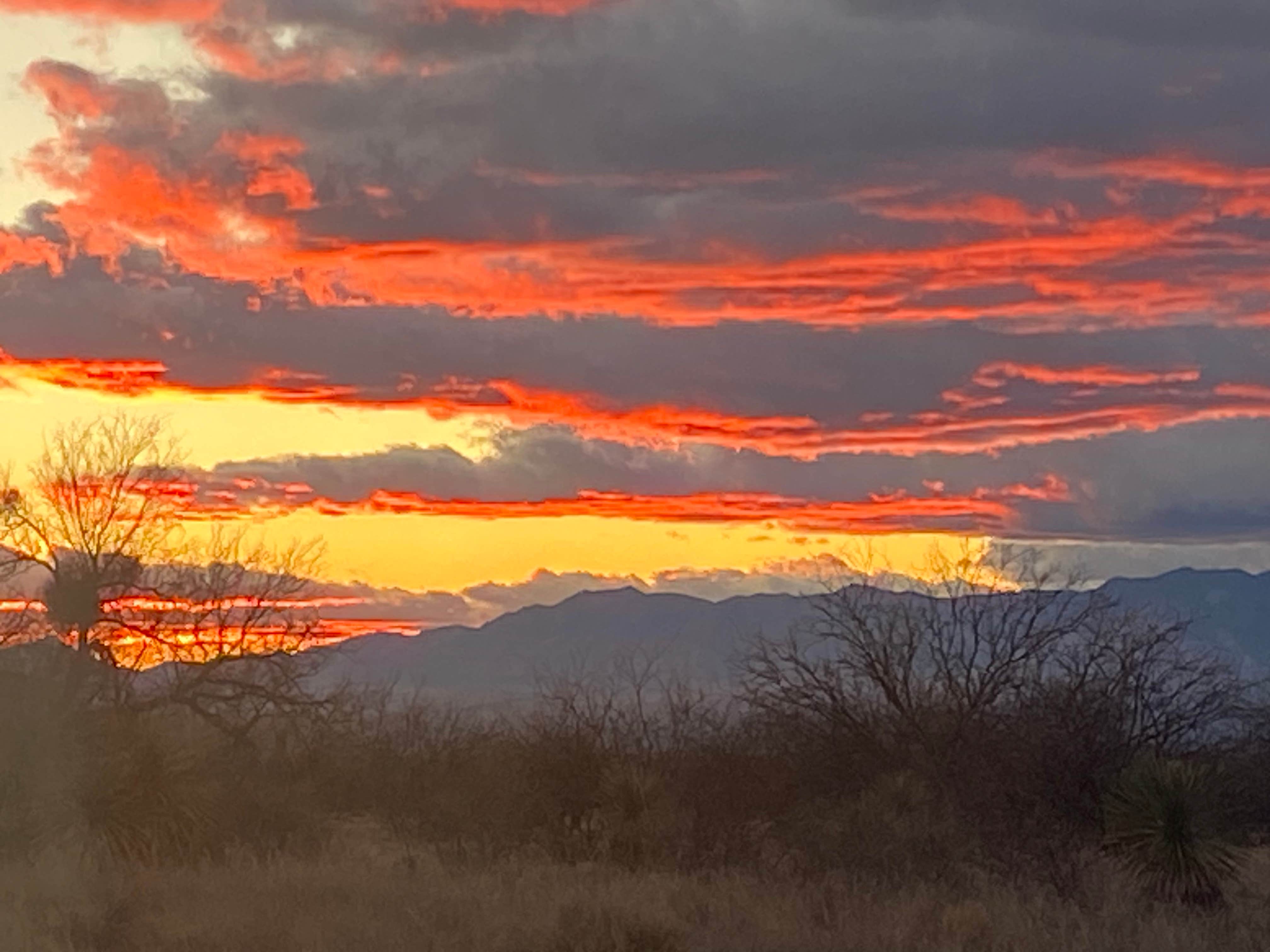 Camper-submitted photo at Camp Site 001 Dispersed Site near Sierra Vista, AZ