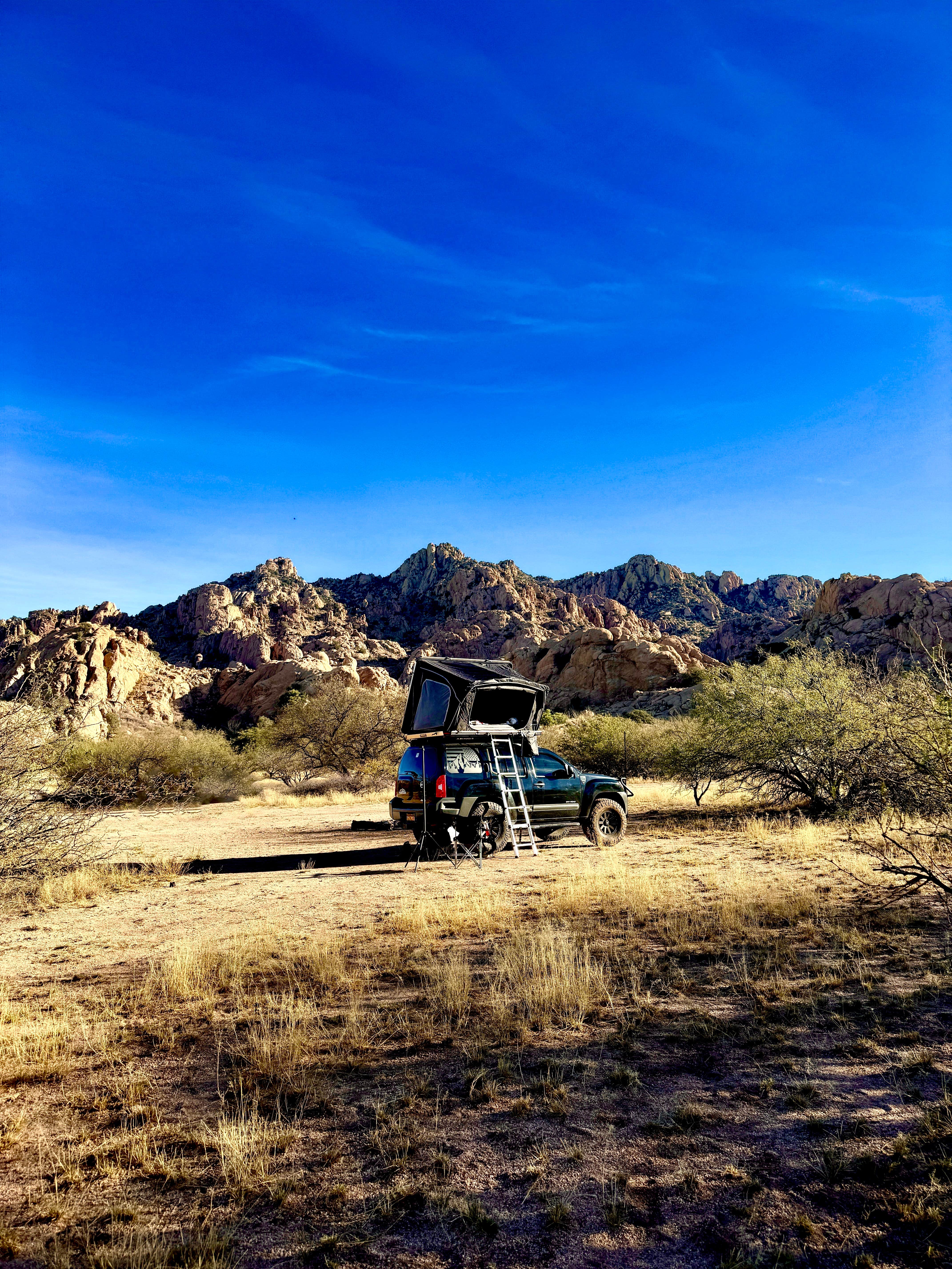 Camper submitted image from Camp Site 001 Dispersed Site - 4