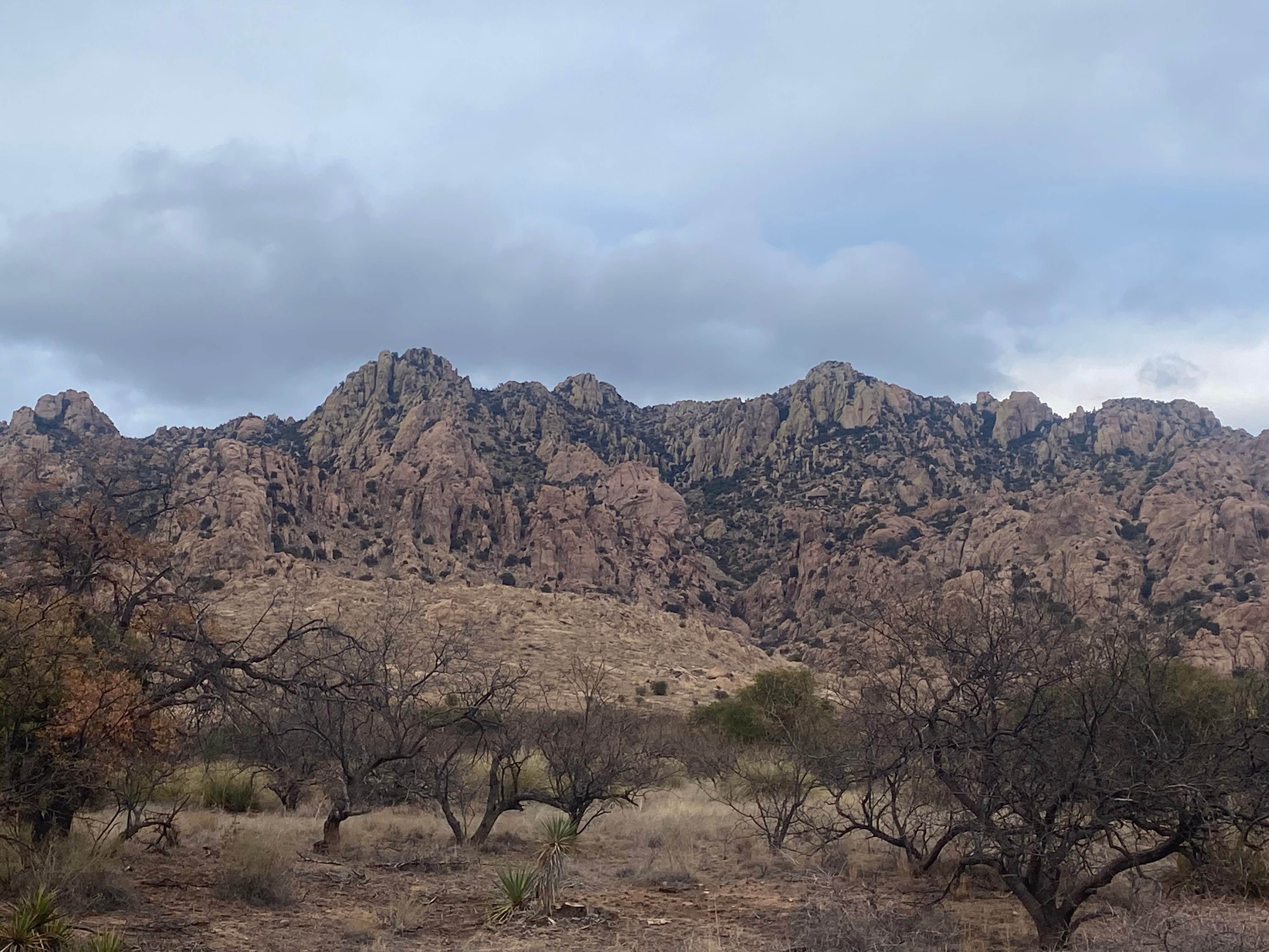 Camper-submitted photo at Camp Site 001 Dispersed Site near Sierra Vista, AZ