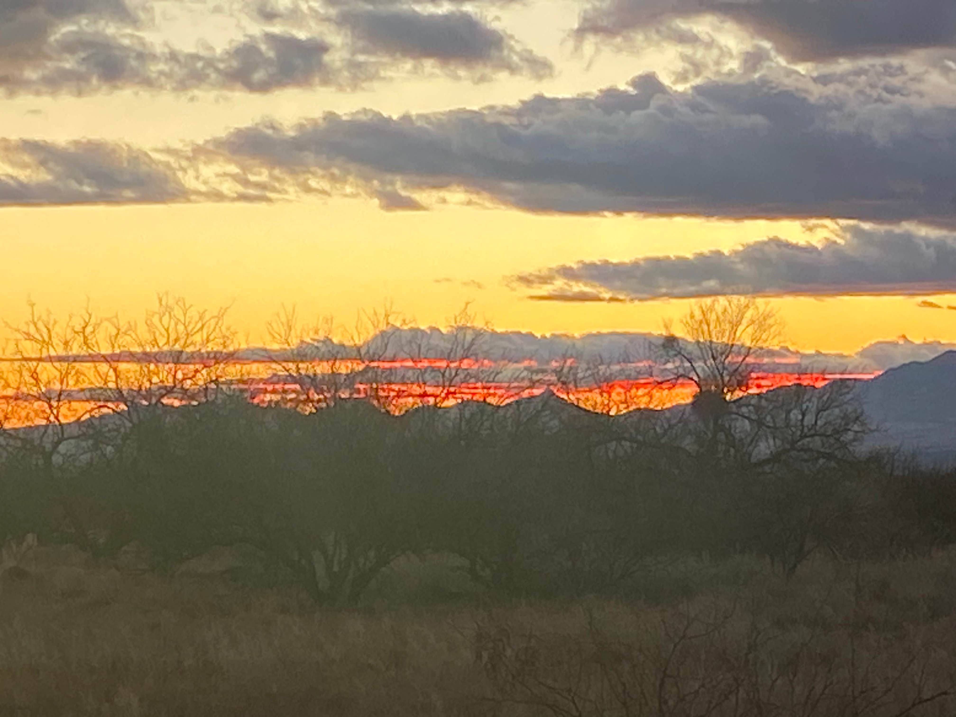 Tracy T.'s photo of a dispersed camping area at Camp Site 001 Dispersed Site near Tombstone, AZ