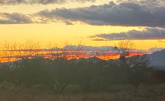 Tracy T.'s photo of a dispersed camping area at Camp Site 001 Dispersed Site near Cochise, AZ