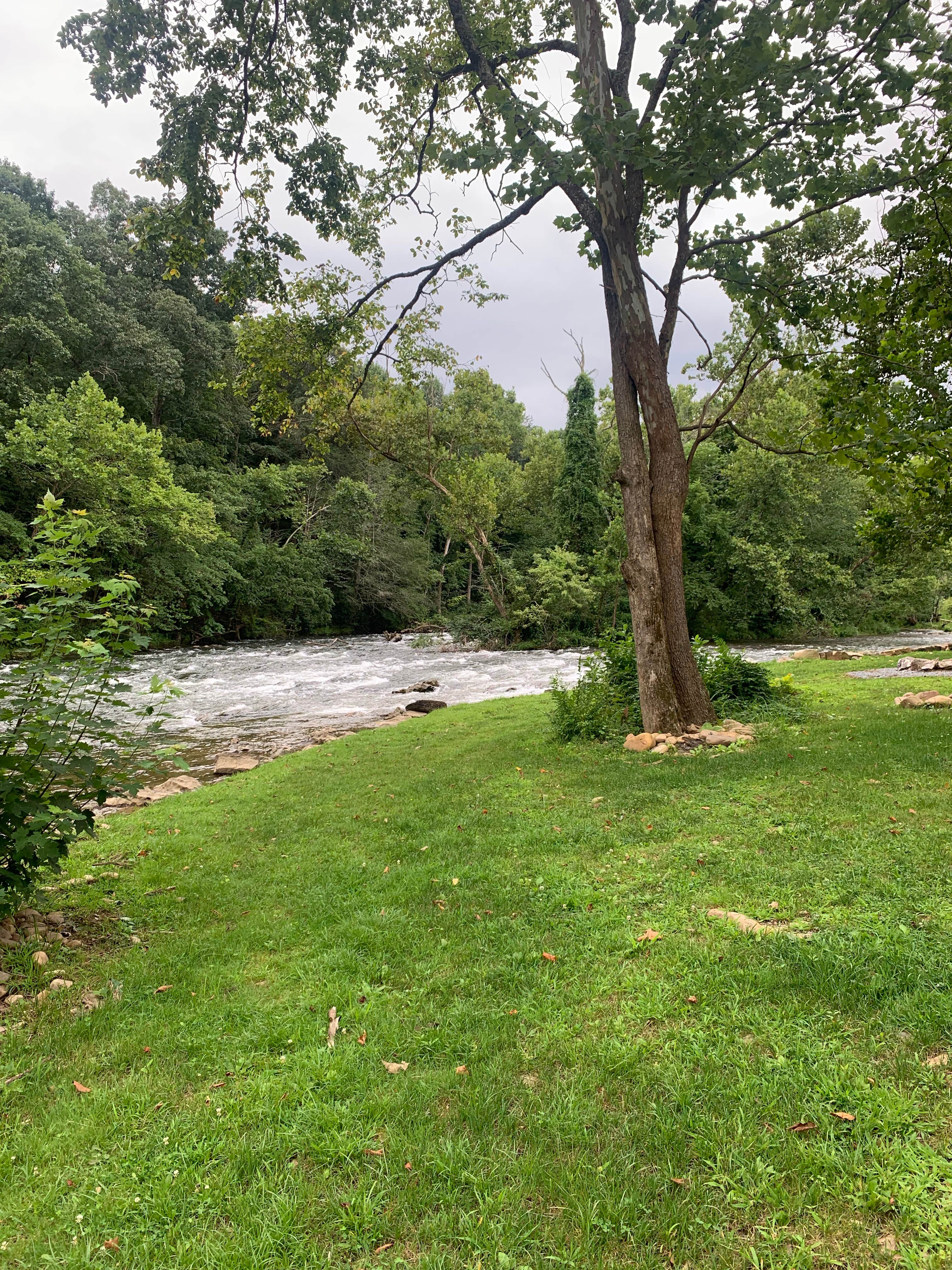 Camper-submitted photo at Camp Stonefly near Milligan College, TN