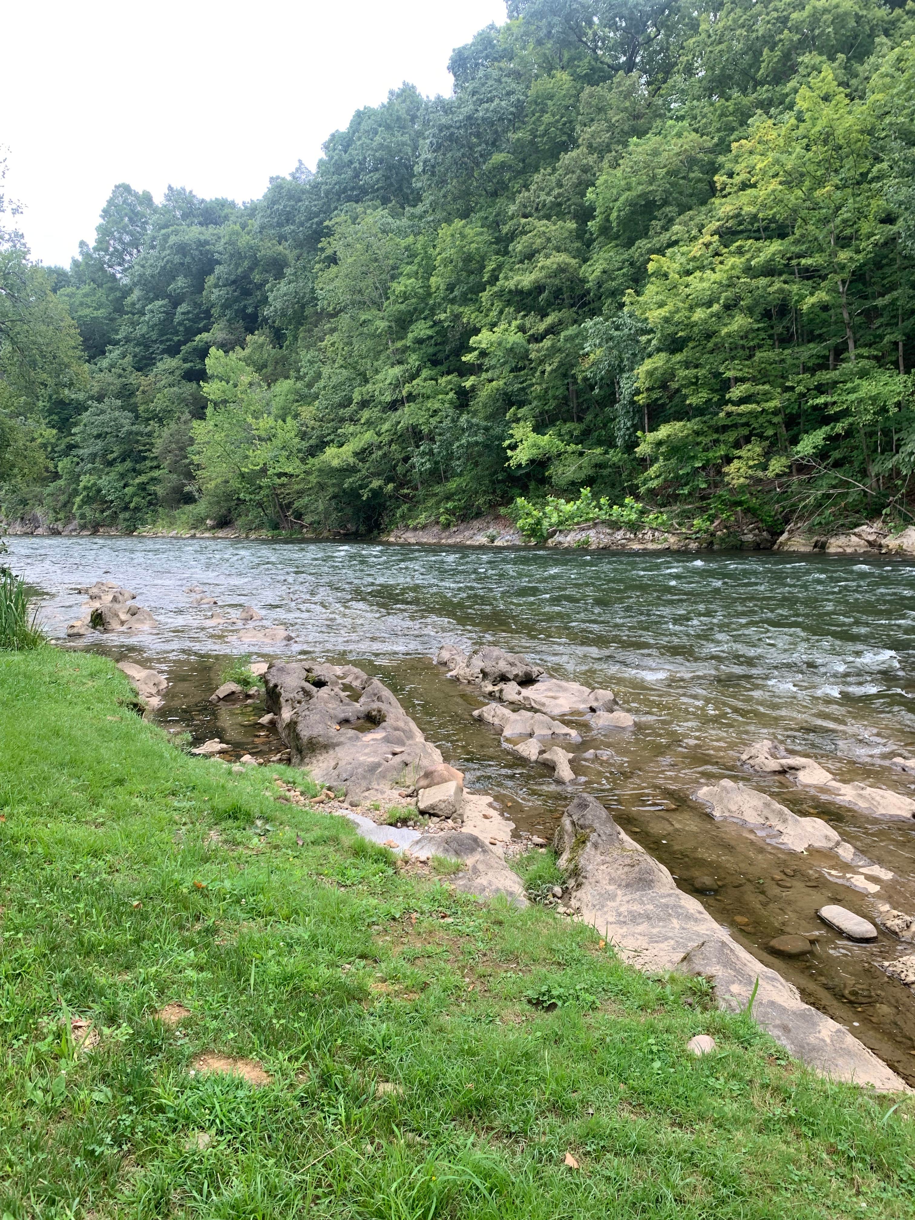 Camper-submitted photo at Camp Stonefly near Milligan College, TN