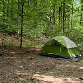 Review photo of Camp Taylor Campground by Coll G., August 3, 2026