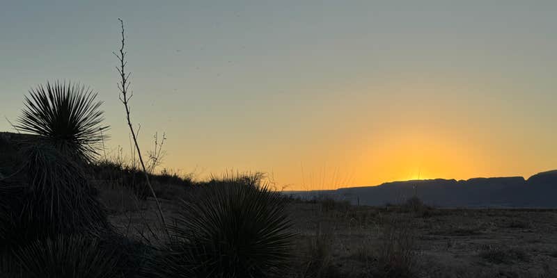 Camper submitted image from Camp Washington Ranch