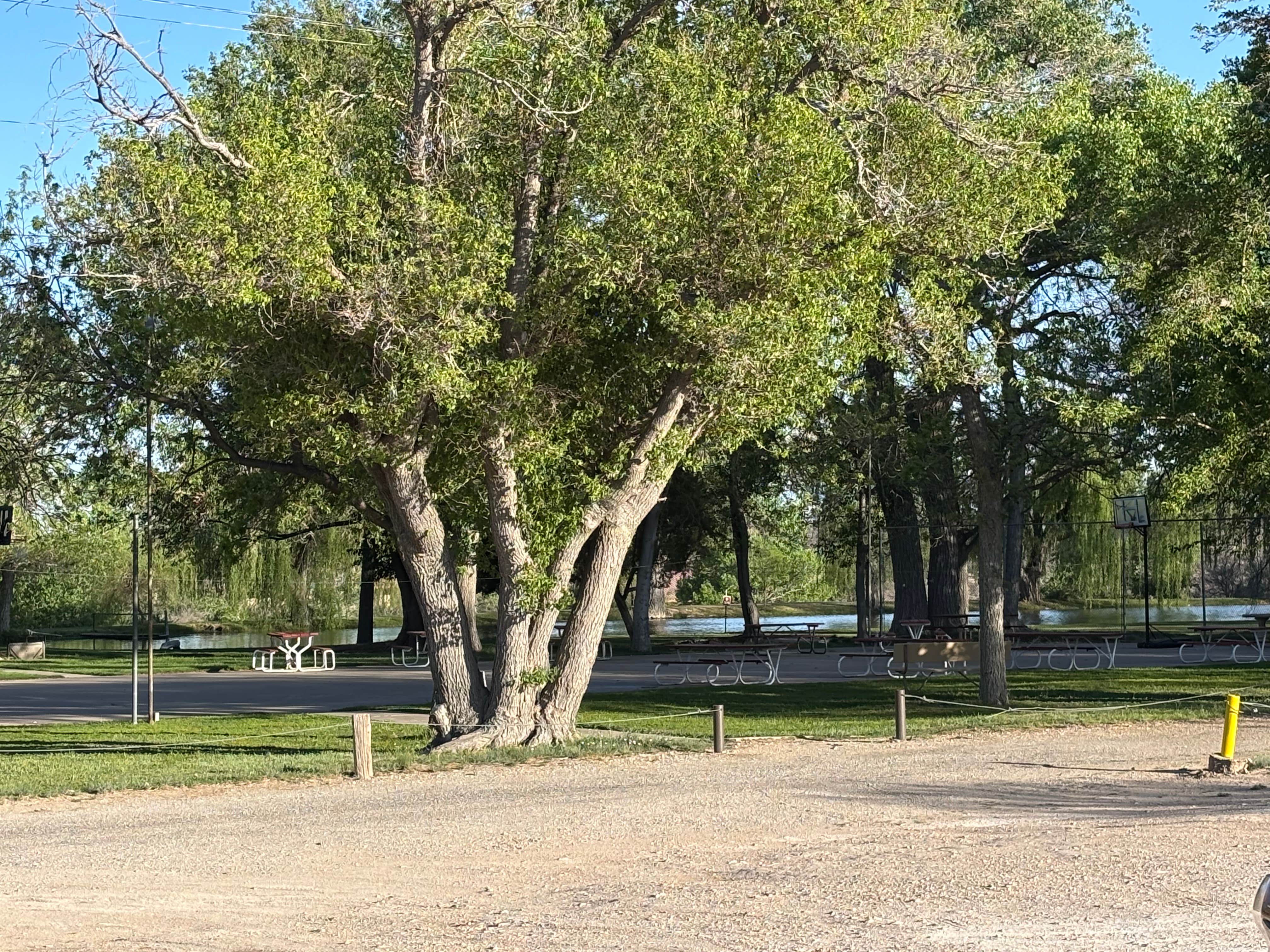 Camping near Carlsbad RV Park and Campground: Camp Washington Ranch, Whites City, New Mexico