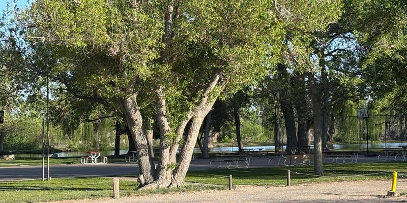 Camper submitted image from Camp Washington Ranch