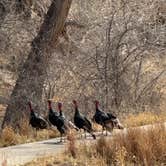 Review photo of Camp Washington Ranch by John & Amy M., March 17, 2026