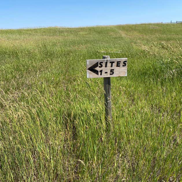Horses Hot Shower Close to Everything Camping Kalispell, MT