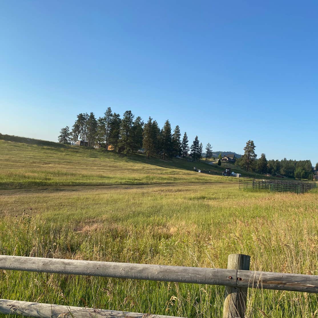 Horses Hot Shower Close to Everything Camping Kalispell, MT