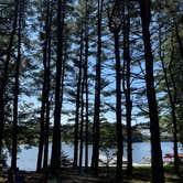 Review photo of Campbell Cove Camping by Brianna L., July 28, 2024