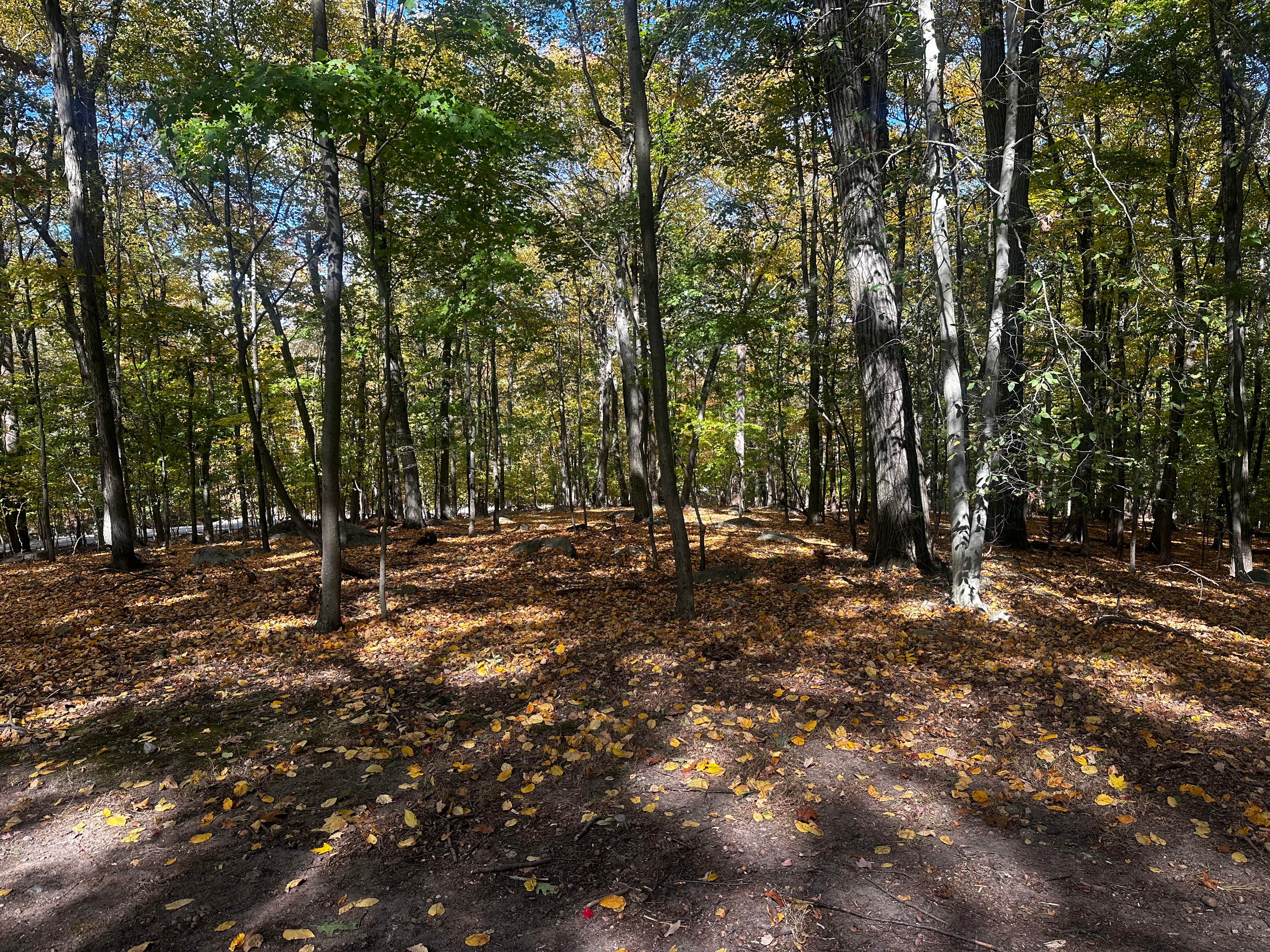 Camper-submitted photo at Campgaw Mountain Reservation near Irvington, NY