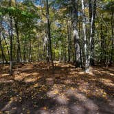 Review photo of Campgaw Mountain Reservation by Jake R., October 15, 2024