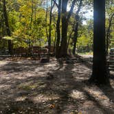 Review photo of Campgaw Mountain Reservation by Jake R., October 15, 2024