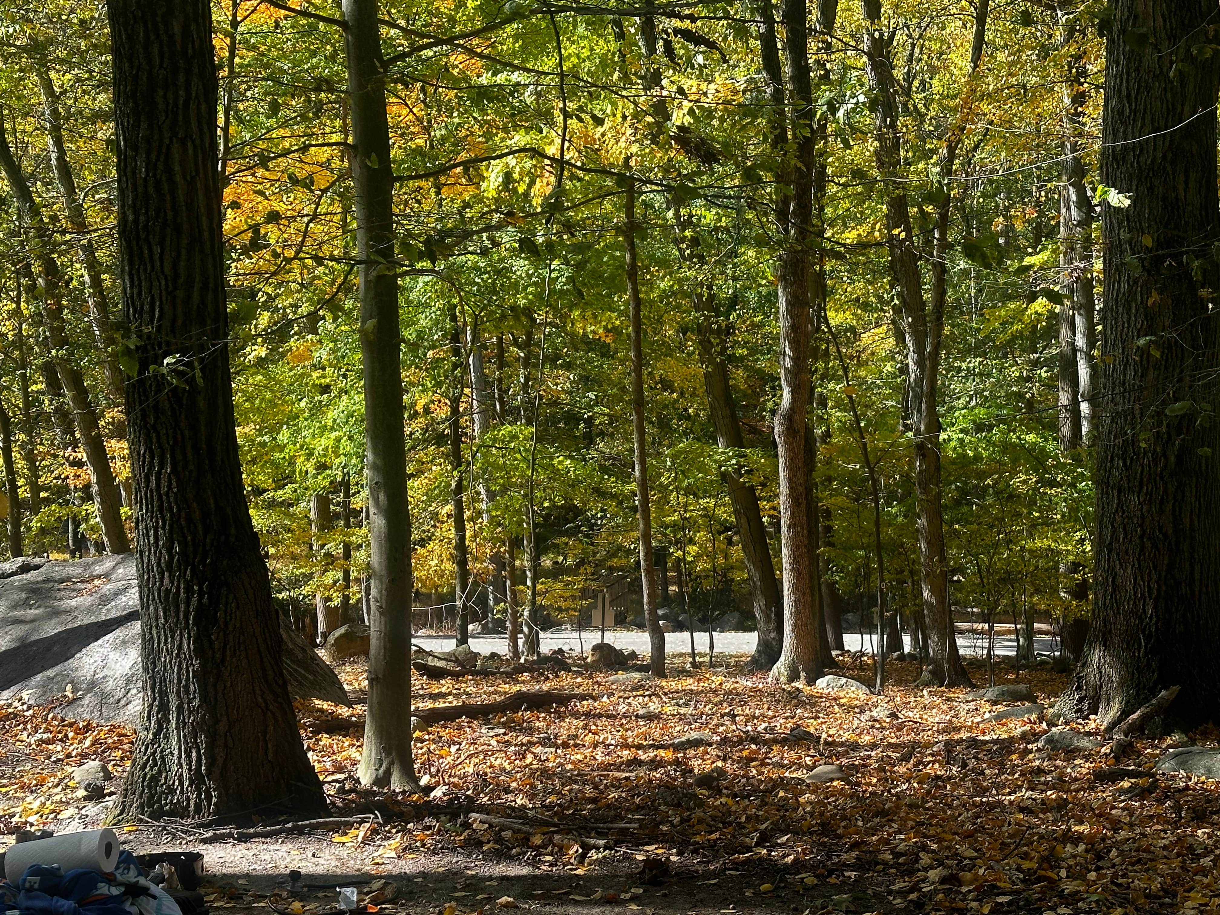Camper-submitted photo at Campgaw Mountain Reservation near Irvington, NY
