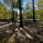 Review photo of Campgaw Mountain Reservation by Jake R., October 15, 2024