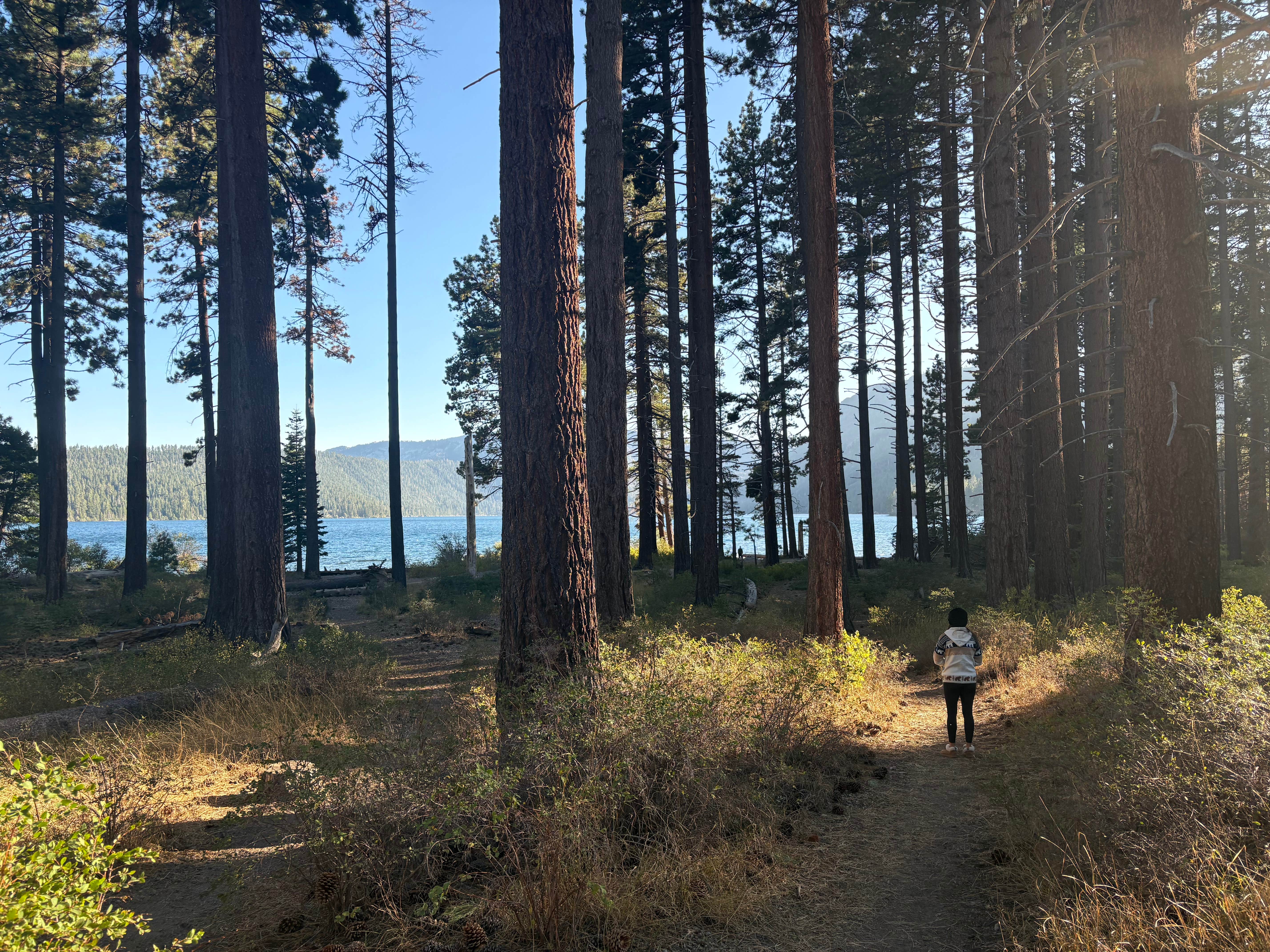 Camper-submitted photo at Campground by the Lake near Zephyr Cove, NV