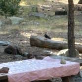 Review photo of Campground by the Lake by Paula S., October 4, 2026