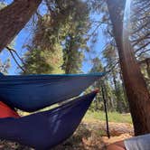 Review photo of Sequoia National Forest Quaking Aspen Campground by Josh S., August 8, 2025