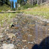 Review photo of Sequoia National Forest Quaking Aspen Campground by Josh S., August 8, 2025