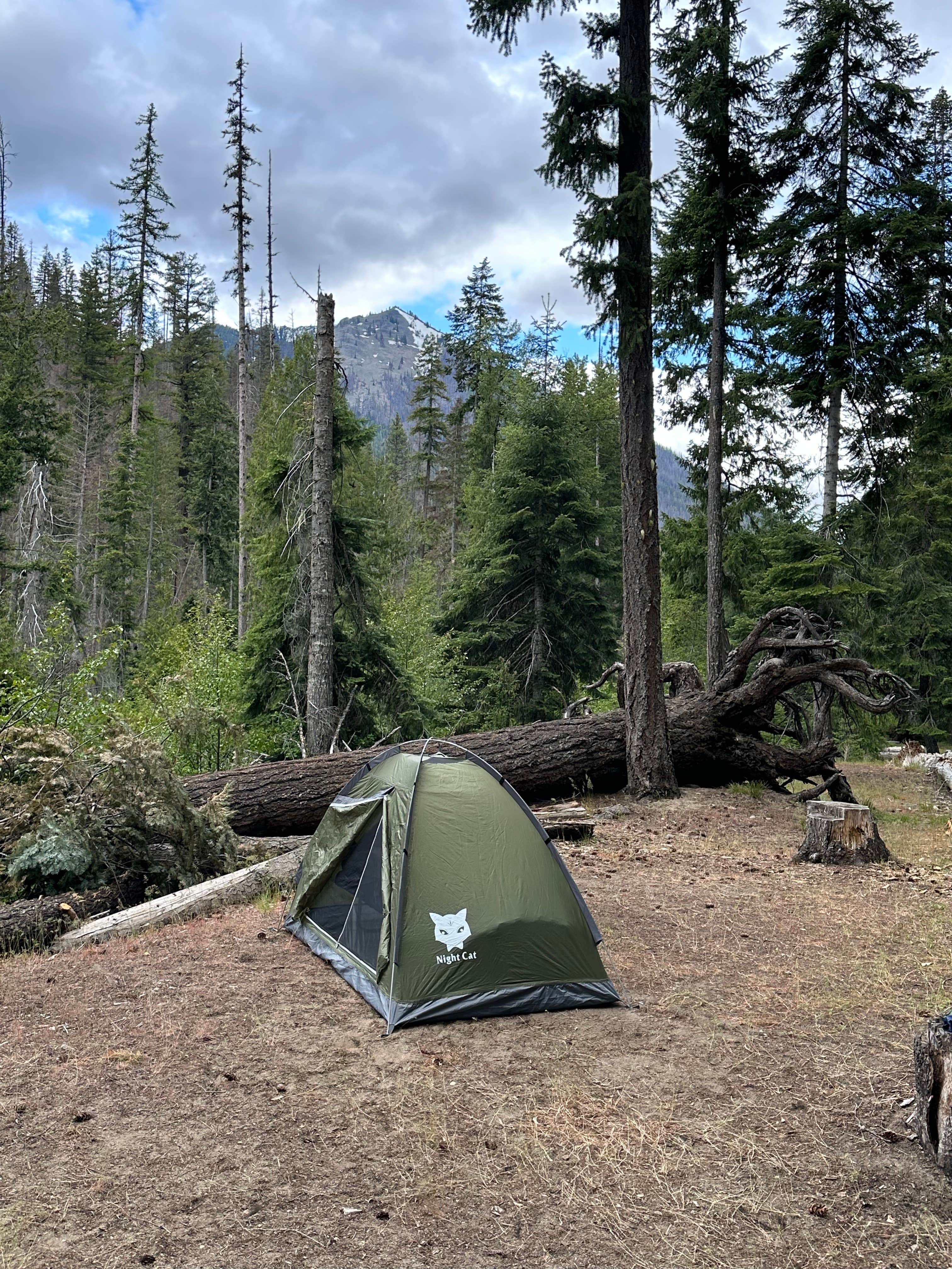 Camper-submitted photo at Soda Springs near White Pass, WA