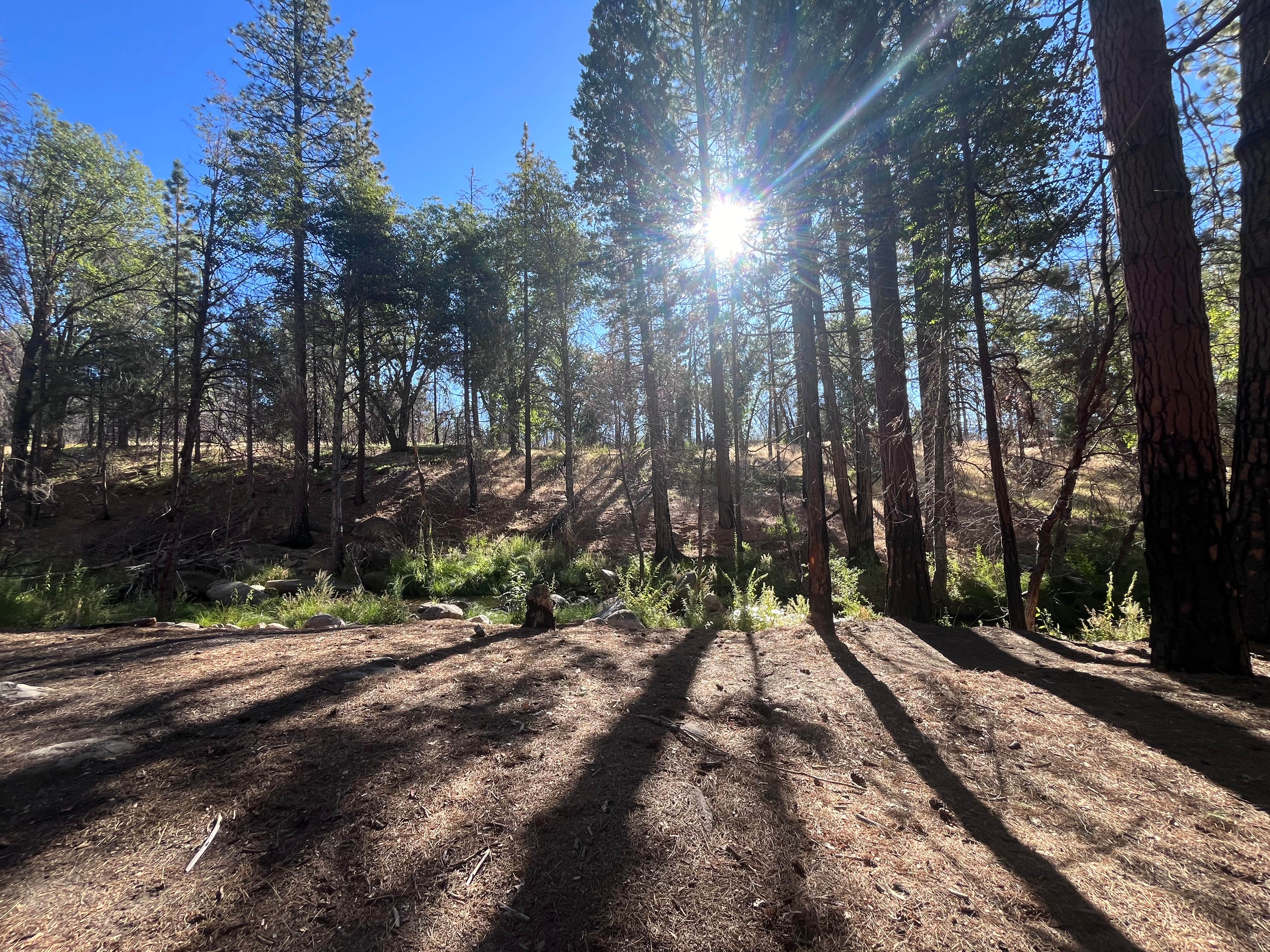 Camping area No. 3 (dispersed)