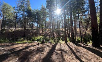 Cameron L.'s photo of a dispersed camping area at Camping area No. 3 (dispersed) near Sequoia National Forest