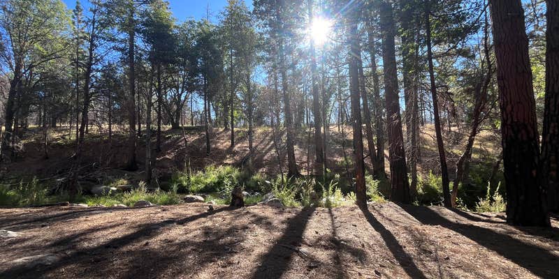 Camper submitted image from Camping area No. 3 (dispersed)