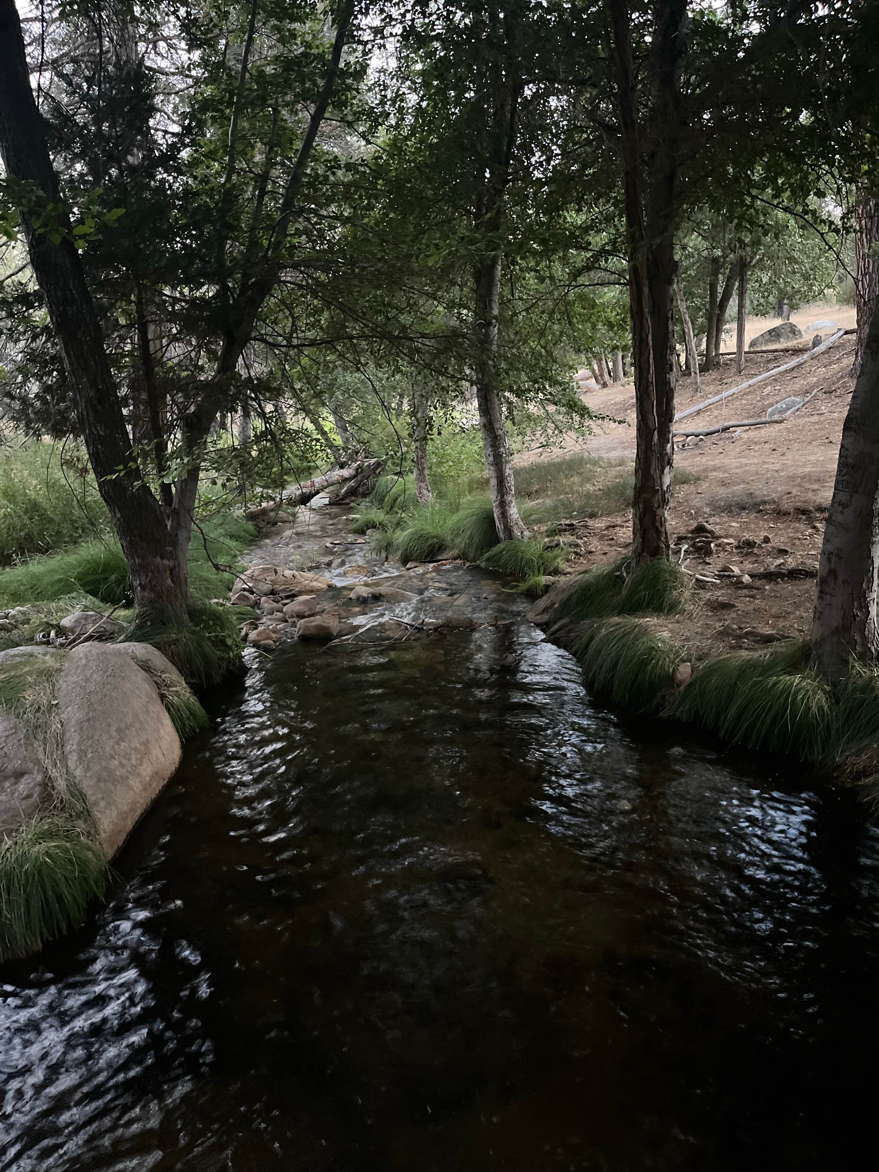 Camper-submitted photo at Camping area No. 3 (dispersed) near Pixley, CA