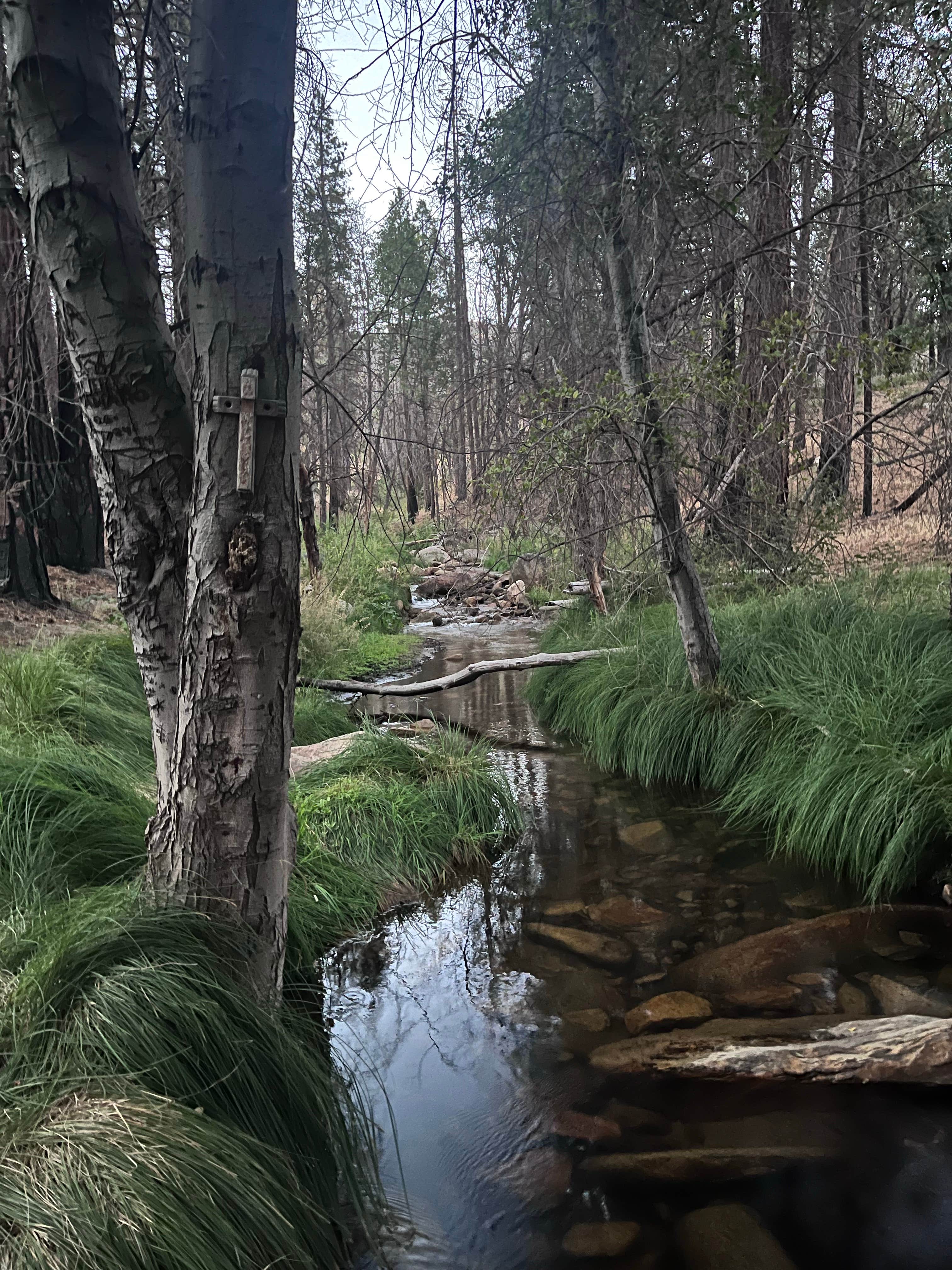 Camper-submitted photo at Camping area No. 3 (dispersed) near Pixley, CA