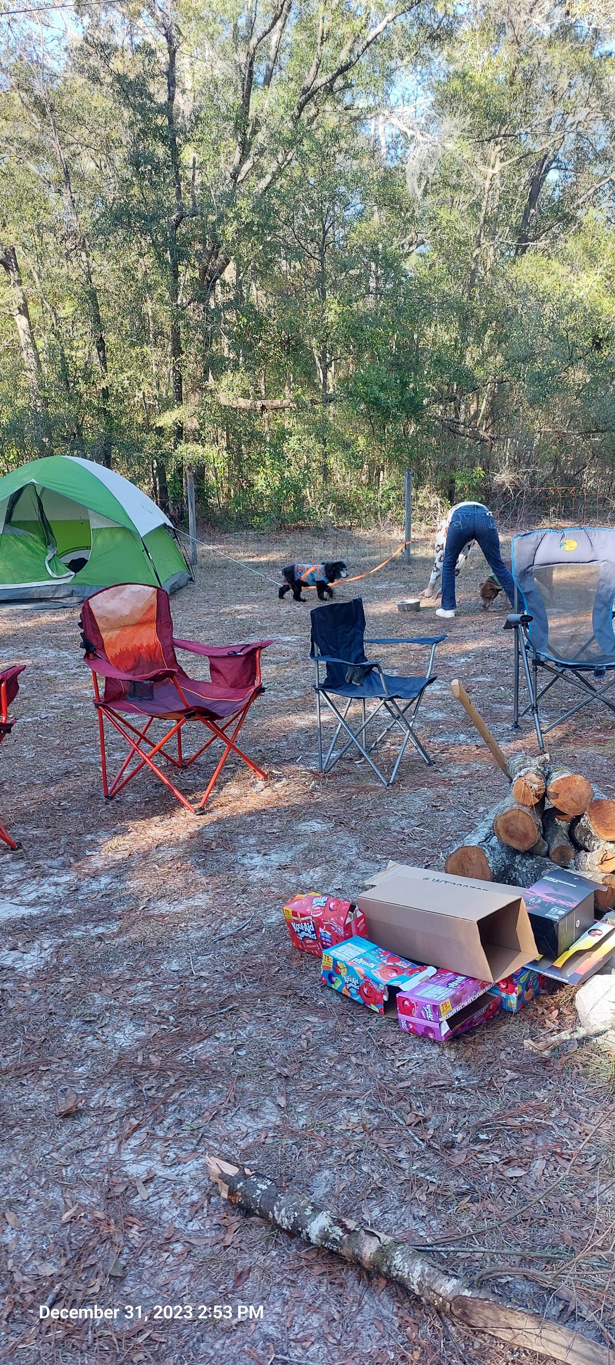 Sara H.'s photo at Camping out in Country  near High Springs, FL