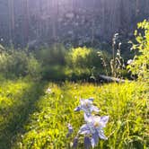 Review photo of Camping Near Chambers on Laramie River by SG H., June 24, 2026