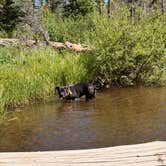 Review photo of Camping Near Chambers on Laramie River by SG H., June 24, 2026